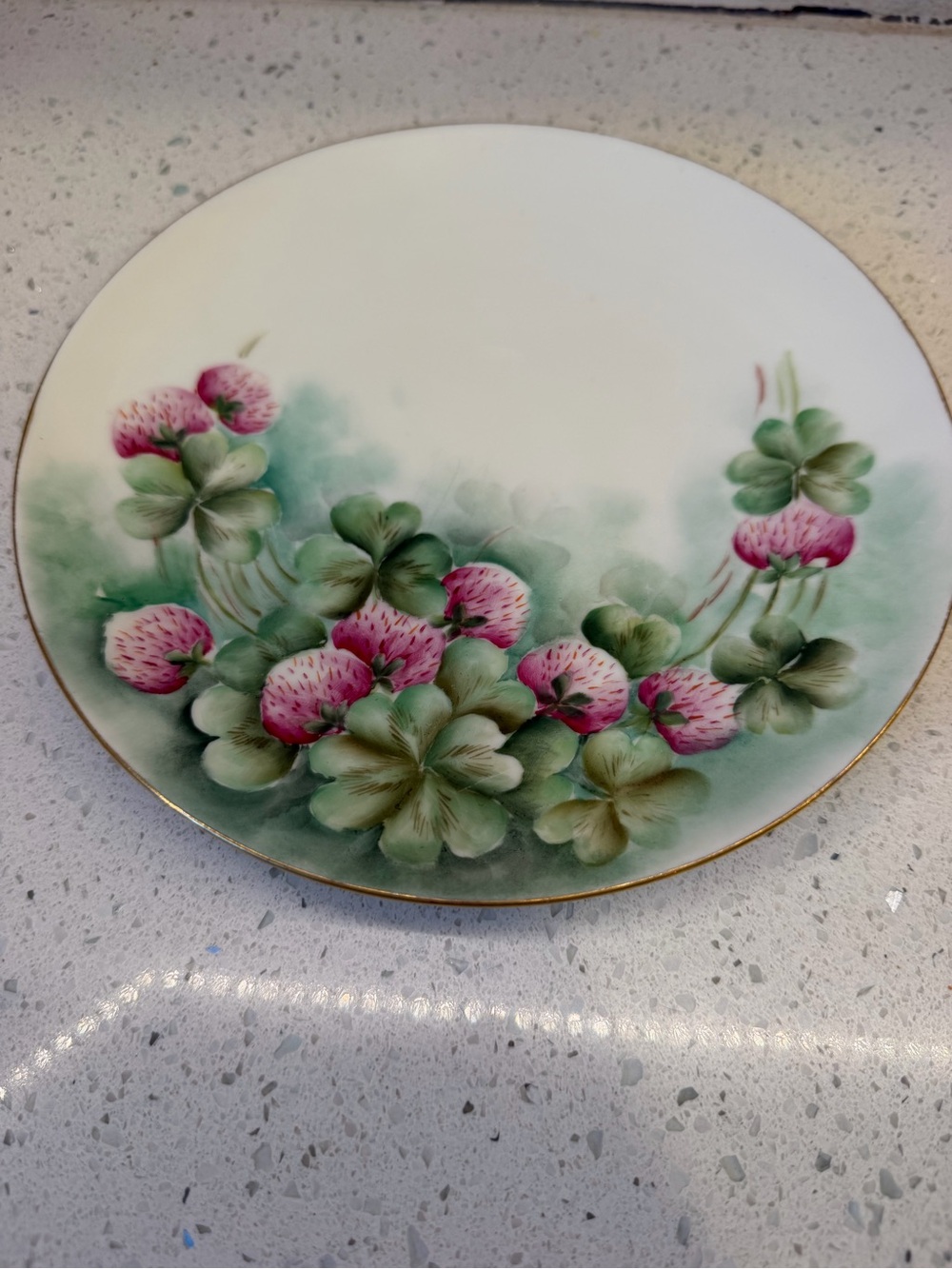Vintage 1880s MZ Austria Plate. Mint. Pink & Green Floral.